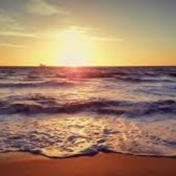 Meet your Posher, Haley - Picture 1 of 1